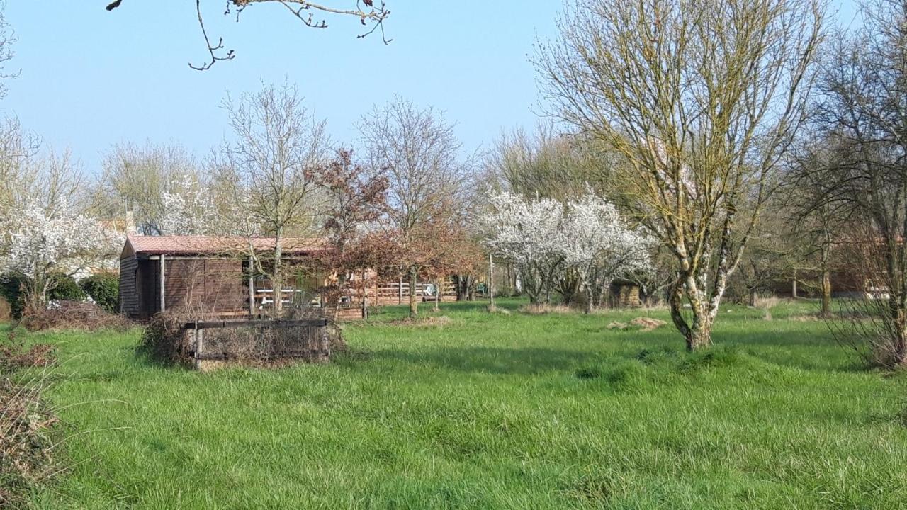 Le Domaine De La Barre Saint Michel Hotel Gourgé Eksteriør billede