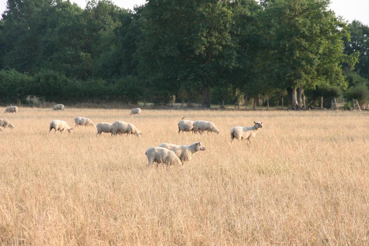 Le Domaine De La Barre Saint Michel Hotel Gourgé Eksteriør billede